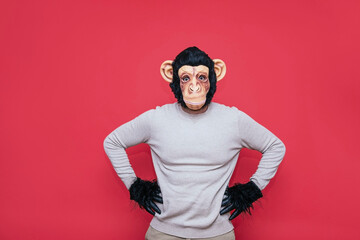 Man in monkey mask gesturing. © karrastock