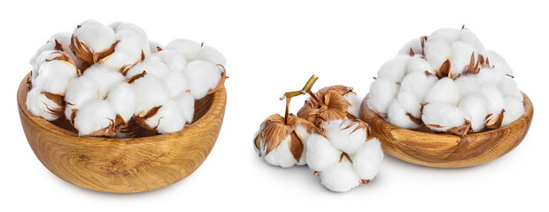 Cotton plant flower in wooden bowl isolated on white background with clipping path and full depth of field