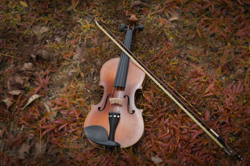 Violin and viola put on grass,During the practice break time to prepare For the concert. - obrazy, fototapety, plakaty