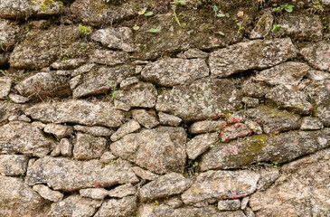 Old stone wall with plants and lichen