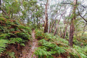 Two Bays Walking Track in Australia