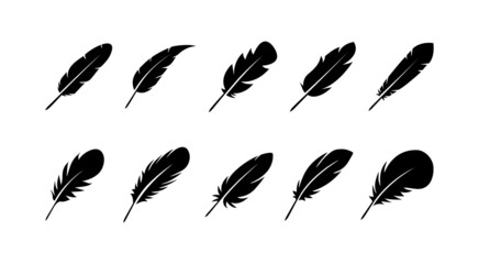 Fototapeta Bird feathers icon set isolated on white background. Different birds feathers. Feather shapes silhouetes. Plumelet collection. Bird feather. Wings icons. Flying concept icons. Vector graphic. obraz