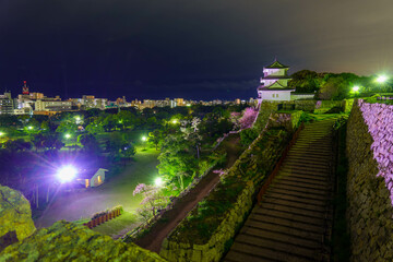 Historic castle atop stone wall overlooking city 