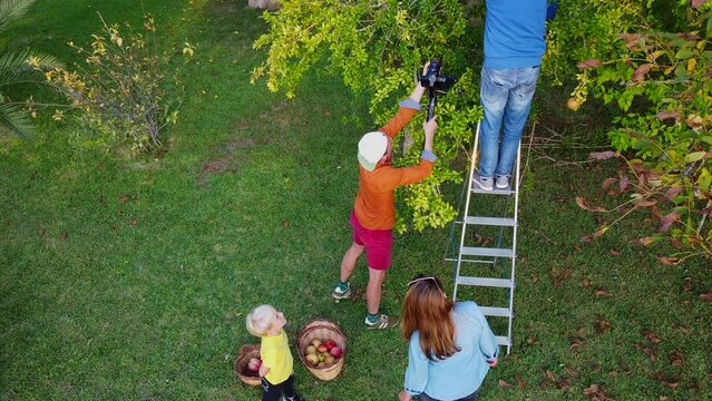 A man with a camera on a steadicam is recording a video about farmer harvests pomegranates with his family. Gardening business shooting. IT, Borgagne, 6.10.2021 