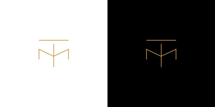 Modern and unique letter TM initials logo design
