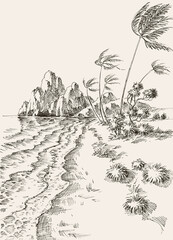 Windy day at the beach hand drawing. Wind in the palm trees landscape