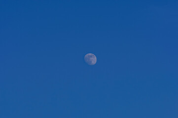 blady księżyc na niebieskim niebie