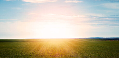 Bright sunset over green field. High quality photo