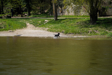 Danube breakthrough from Kelheim to Weltenburg monastery with rocks and the current of the Danube