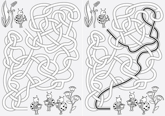 Ladybug maze