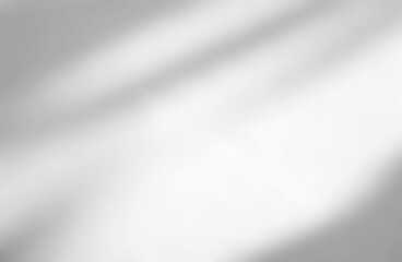 Abstract shadow of leaves on a white wall background
