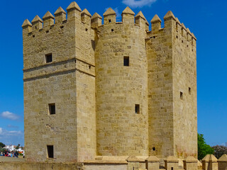 Fototapeta premium TORRE CASTILLO