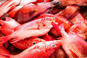 Market fishes