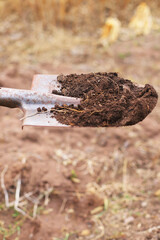 work in the garden. spring. the guy digs the ground, plants and plants vegetables.