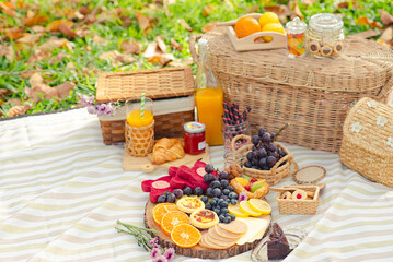 Colourful summer picnic outdoors with delicious food and juice on a meadow, Selective focus.