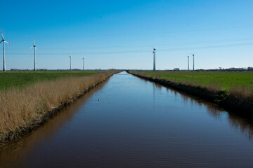 the river in the country