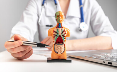 Doctor showing internal organs in 3d human model. Woman with stethoscope in lab coat sitting at...