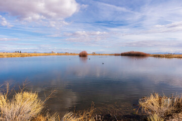 Early Spring in Monte Vista National Wildlife Refuge, Southern Colorado