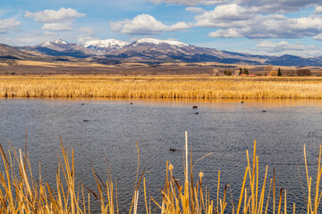 Early Spring in Monte Vista National Wildlife Refuge, Southern Colorado