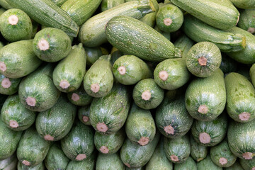 Green zucchini lined up in rows at a vegetable market. Lots of ripe vegetable marrows. Zucchini background.