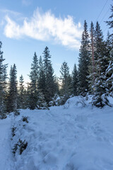 Winter landscape of Rila Mountain near Malyovitsa peak, Bulgaria