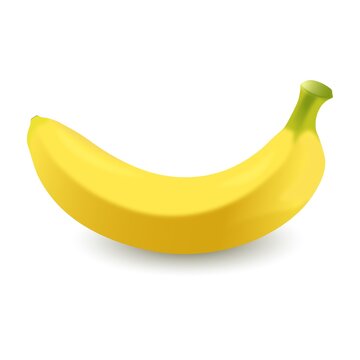 Realistic illustration of isolated banana on the white background. Vector illustration. EPS10.