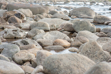Grey different sizes stones texture with water background