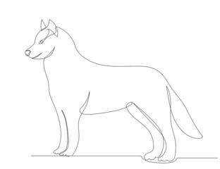wolf drawing by one continuous line, sketch, vector