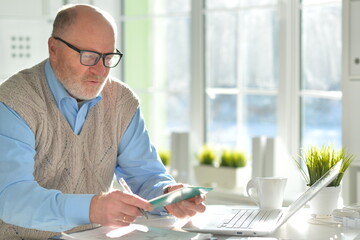 Portrait of mature businessman working with laptop in office