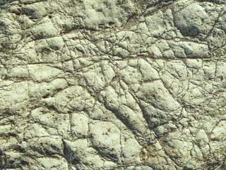 texture. rock formation on the sea. a stone made of sand, a large boulder lies on the beach. stone with cracks and damage, ancient texture
