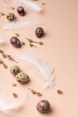 Easter spring pattern on a pink background: quail egg, feathers, willow