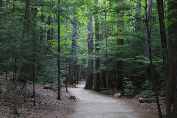 Diana's Baths hiking trail through forest in White Mountain National Forest north of Conway, New Hampshire.