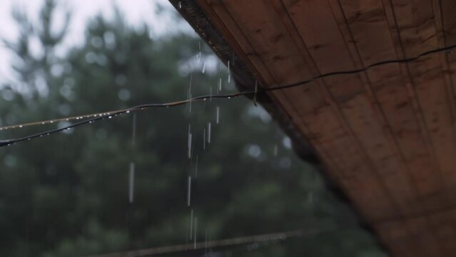 Jets of water flow past drain of wooden roof of open terrace down and hit electrical wires. It is raining, coniferous trees grow nearby, drops hang on wires.