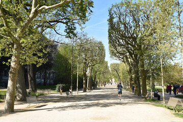 Fototapeta premium Courir au parc