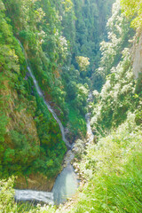 Schlucht zum Fluss Im Urwald Australiens