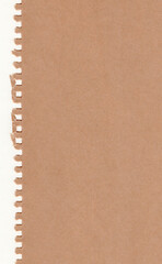 Closeup torn brown paper on grunge white paper texture background. Rip Paper note ,brown paper sheet .with space for text ,pattern or abstract background.Hi resolution image.