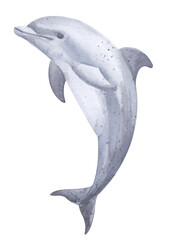 Blue dolphin isolated on white background. Watercolor. Illustration. Sample. Close-up. Clipart. Greeting card design. Sea life, sea animals. Ocean day. Children's room, baby shower. Clipart