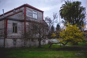 Three story old centuries wood house with stone basement and green garden with grass and big trees...