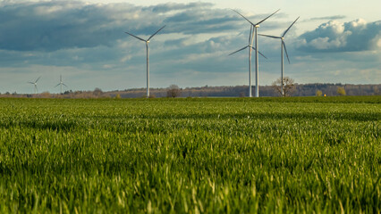 Zielona energia z wiatru. Turbiny wiatrowe na tle zielonego pola. - obrazy, fototapety, plakaty