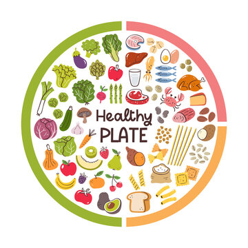 Healthy eating plate proportions. 50 percent of vegetables and fruits, 25 percent of bread and pasta, 25 percent of meat and protein products. Balanced food ingredients icon collection.