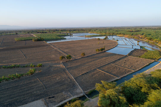 Piura, Peru: Aerial view of rice fields in the Chira river valley, very close to Amotape and Sullana
