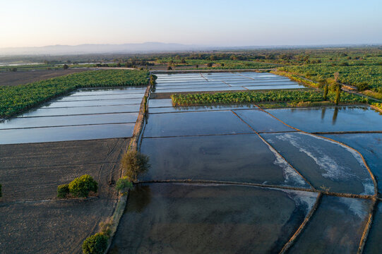 Piura, Peru: Aerial view of rice fields in the Chira river valley, very close to Amotape and Sullana
