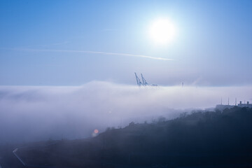 Fototapeta na wymiar Idle container cranes in dense fog.