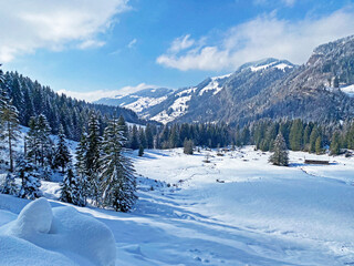 Fototapeta na wymiar Beautiful winter ambience in the alpine valley of the Lutheren stream, at the foot of the Alpstein mountain range and in the Obertoggenburg region - Nesslau, Switzerland (Schweiz)