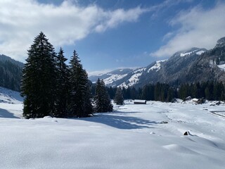 Fototapeta na wymiar Beautiful winter ambience in the alpine valley of the Lutheren stream, at the foot of the Alpstein mountain range and in the Obertoggenburg region - Nesslau, Switzerland (Schweiz)