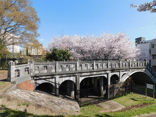 淀川河川公園長柄河畔地区の眼鏡橋と桜(大阪市北区で2022年4月撮影)