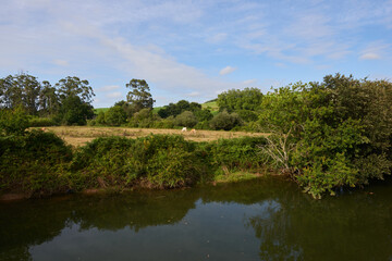 A river with vegetation along its banks under a cloudy sky
