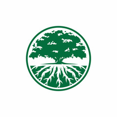Oak tree logo design vector illustration