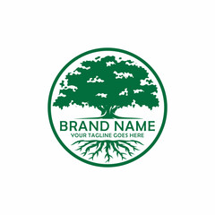 Oak tree logo design vector illustration