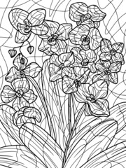 Flowers orchidaceae. Coloring book antistress for children and adults.